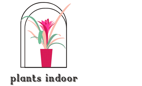 plantsindoor